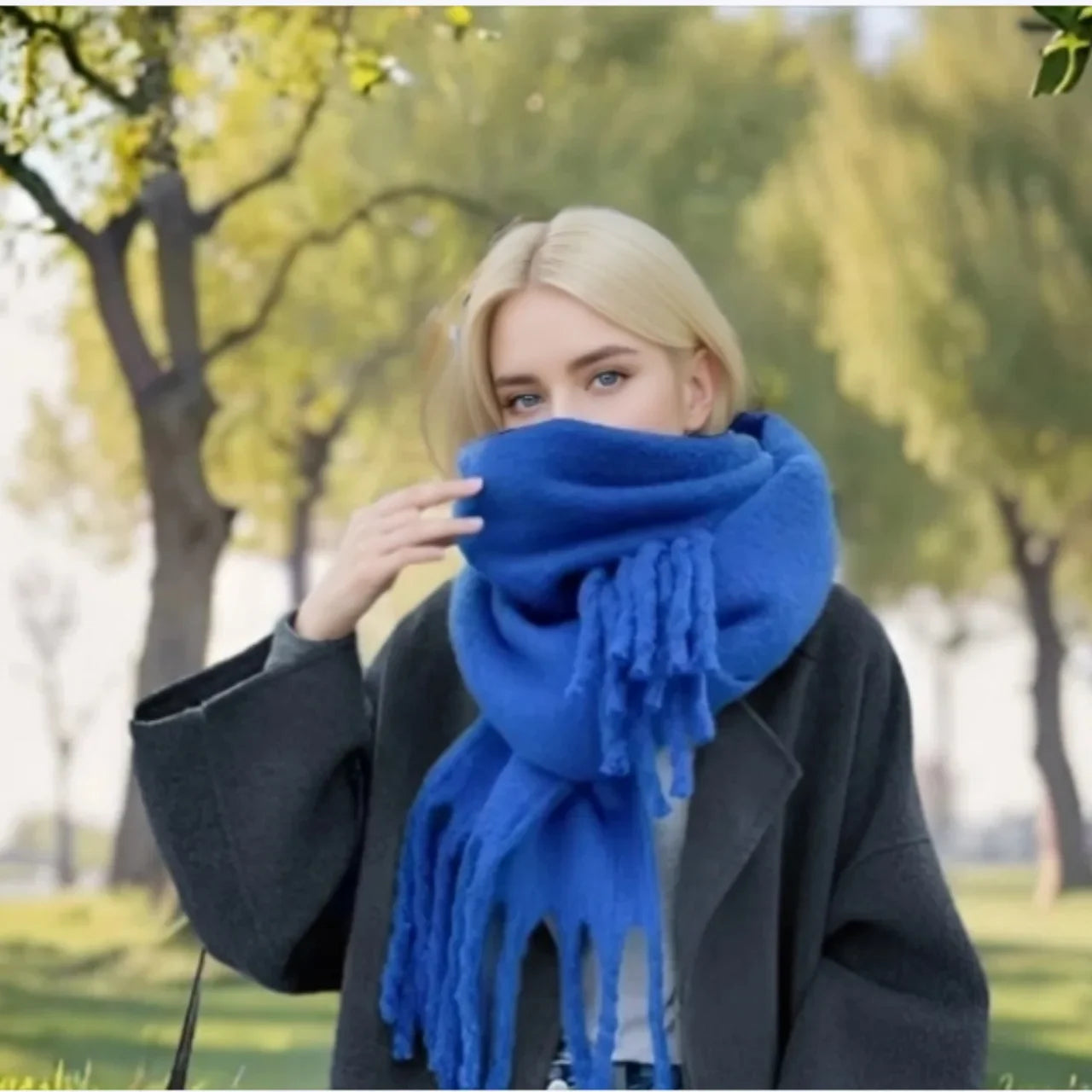 Cashmere Solid Color Thick Scarves