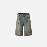 Washed Distressed Jorts