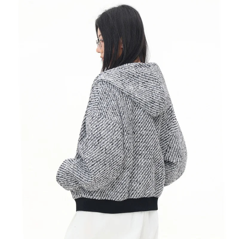 Y2K Elegant Gray Zip-Up Hooded Sweatshirt