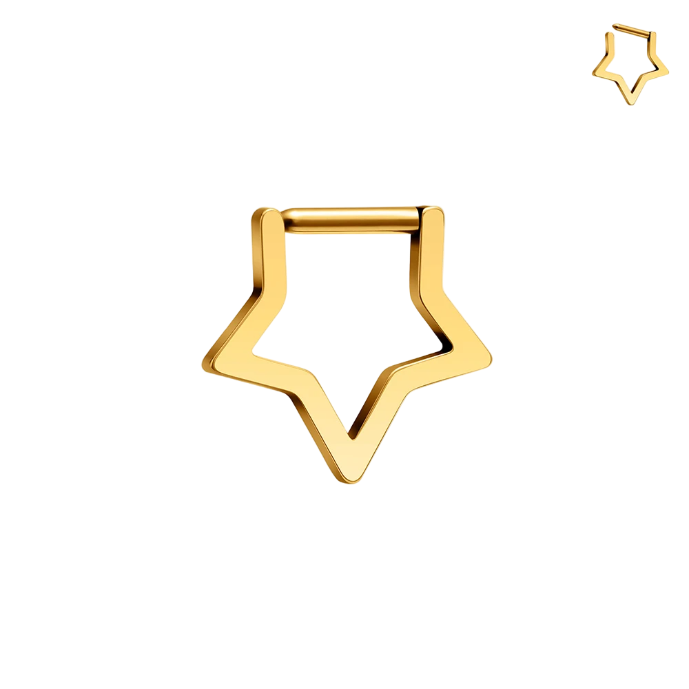 Starlike 925 Sterling Silver Earrings